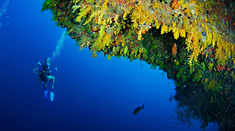 anantara kihavah maldives villas golden wall house reef