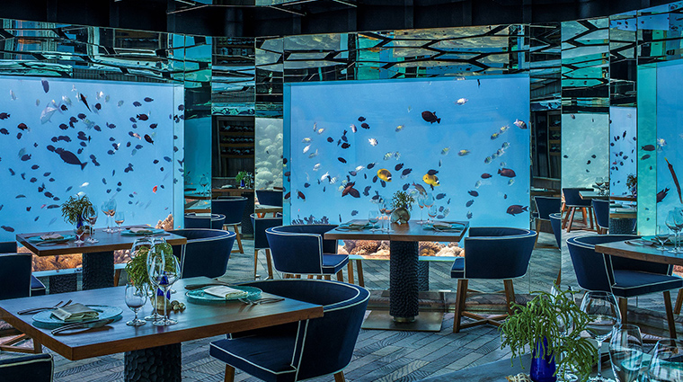 anantara kihavah maldives villas SEA underwater restaurant